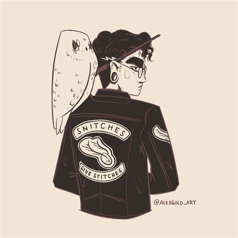 Punk Harry Potter Fan Art With Sassy Hedwig Created On Ipad Pro With