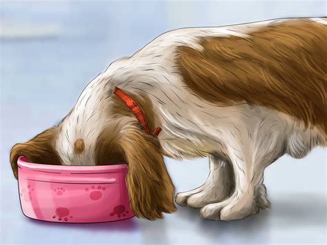 Not to say this will solve your cat's problem — so many things can cause bloody stool, and illness/discomfort often leads to litter box issues. 4 Ways to Treat Diarrhea and Constipation in Dogs and Cats