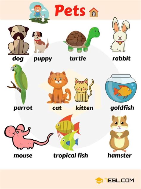 Learn Animal Names In English Eslbuzz Learning English Animals Name