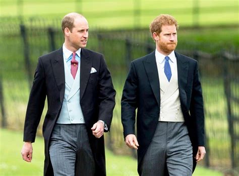 ¿cuál Es El Problema Entre Los Príncipes William Y Harry Que Su