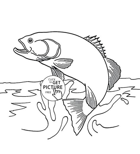Make a coloring book with trout fly fishing for one click. Rainbow Trout Coloring Page at GetColorings.com | Free ...