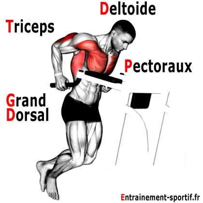 Here are some dips exercises that give amazing results Le Dips pour muscler Triceps, Pectoraux et Deltoïdes