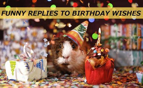 50 Funny Replies To Birthday Wishes Hubpages