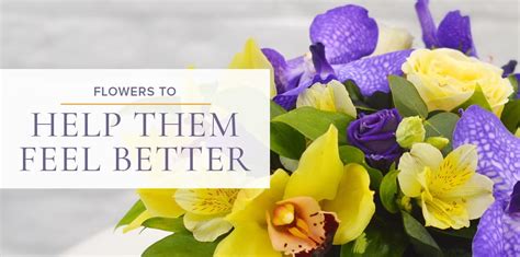 Check spelling or type a new query. Send Cheer to Someone in the Hospital with a Live Plant ...