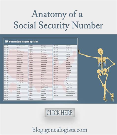 Many organizations check ssn validity when. What might the digits of your ancestor's SSN tell you? See: Anatomy of a Social… … | Family ...