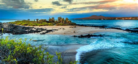 Discover the Galápagos Islands | Traveloni Vacations