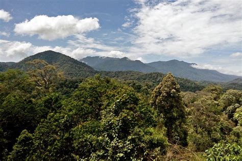 • relax statistics show that you are more likely to be hit by a. Gunung Tahan