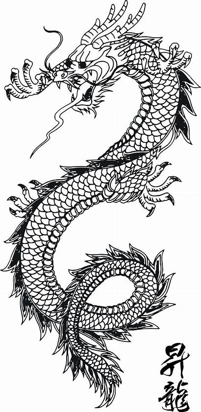 Dragon Vector Svg Wikimedia Commons