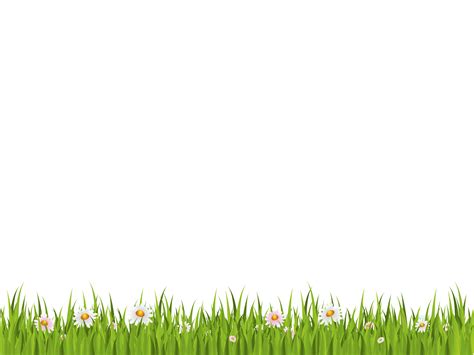 Grass Png Images And Pictures Becuo