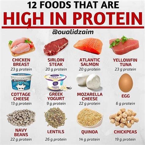 weight loss foods with high protein weightlol