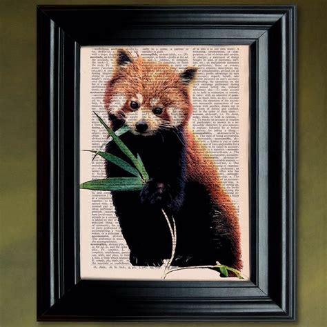 Dictionary Print Red Panda Eating Leaves Vintage Illustration Mixed