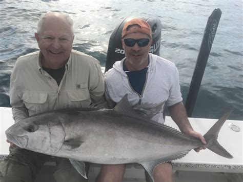 Giant Amberjacks And Mangrove Snapper Off Anna Maria Island With