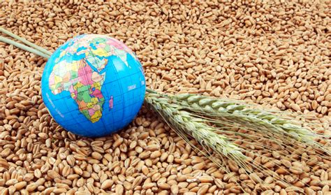 Covid S Crippling Impact On Global Food Security