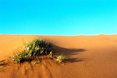 Landscape Of The Desert Thewonderful99