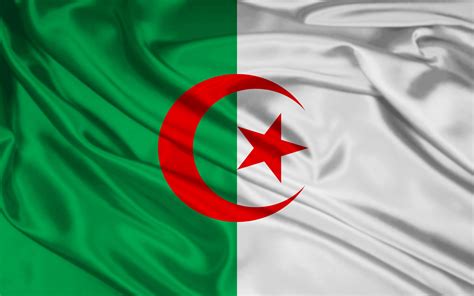 Flaggen kann man hissen oder setzen. algeria flag - Free Large Images
