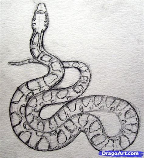 Color the snake in shades of green. Pin by anna on draw, tools, inspiration, process | Snake ...