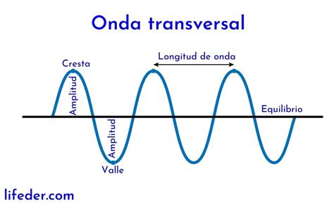 Onda Transversal Qué Es Concepto Características Ejemplos