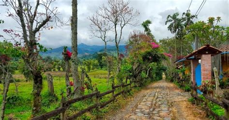 ᐉ La Guía Definitiva Para Conocer El Jardín En Antioquia