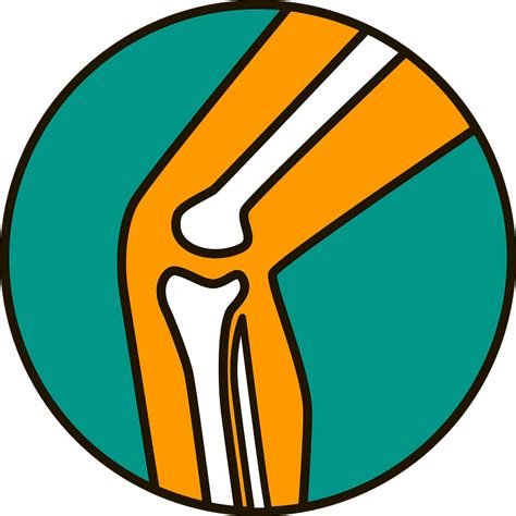 Knee Bone Png Image Character Knee Bones Clip Art Knee Joint Clip