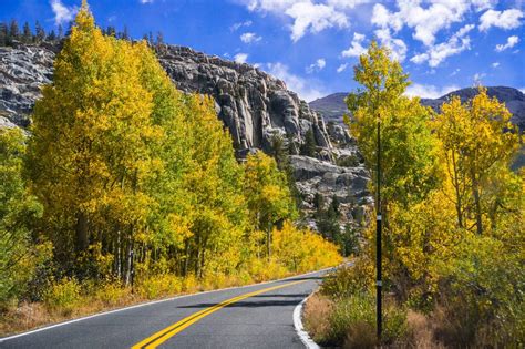 Brilliant Fall Colors and a Cozy B&B Near Sonora Pass | CABBI