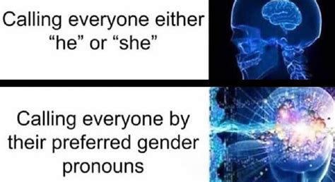 The Importance Of Gender Pronouns Zohal