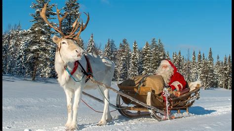 christmas departure of santa claus🦌🎅 reindeer ride in lapland finland of father christmas youtube