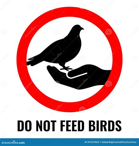 Please Do Not Feed The Birds Prohibition Sign No Symbol Isolated On