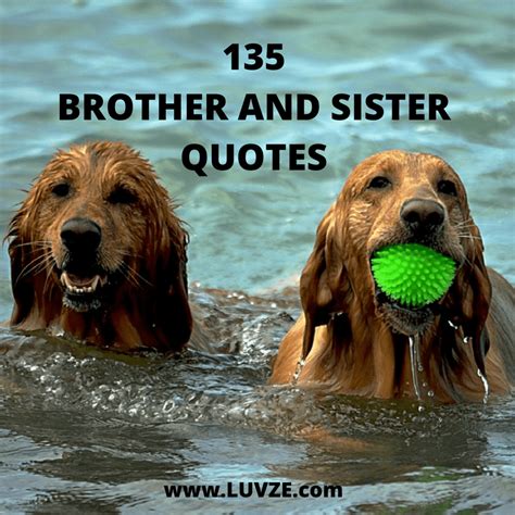 We were a tight family. 135 Cute Brother Sister Quotes, Sayings and Messages