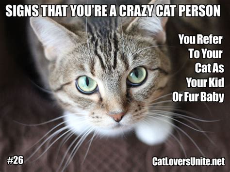 Crazy Cat Person 26