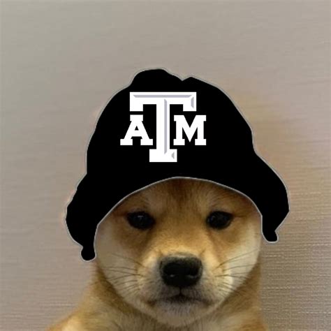 Meme Pfp Dog ͡—matching Icons᭣¸ ̥̥͡ In 2020 Dog Icon Animal Icon