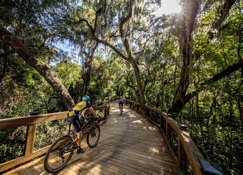 Riding The City Of Tallahassees Lafayette Heritage Trail Park Canopy