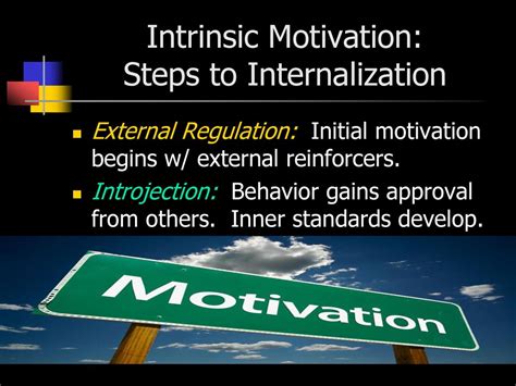 Development Of Motivation And Self Regulation Ppt Download