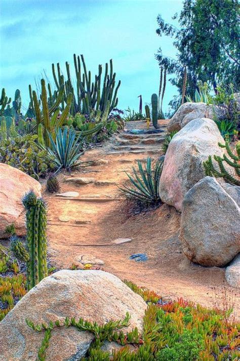 24 Beautiful Desert Garden Design Ideas For Your Backyard Desert