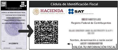 Cédula De Identificación Fiscal Qué Es Y Cómo Obtenerla Brightstar