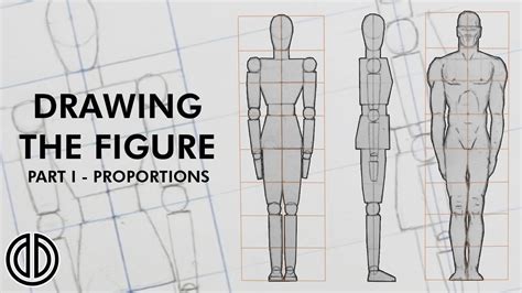 Drawing The Human Figure Proportions Tutorial Part I Human Figure Drawings Male