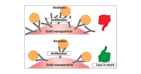 Less Is More A Comparison Of Antibodygold Nanoparticle Conjugates Of