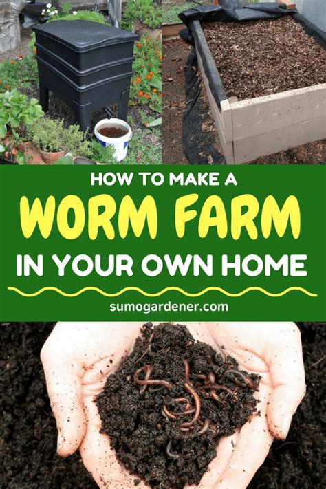 How To Make A Worm Farm In Your Own Home Worm Farm Gardening For
