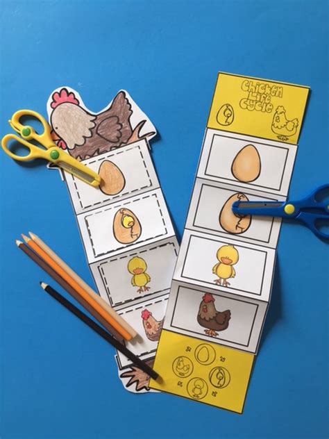 Chicken Life Cycle Craft ~ Preschool Printables