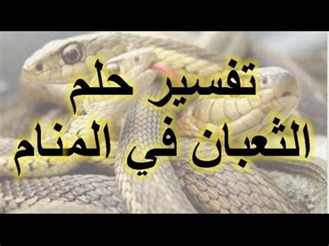يجب أن تشمل التغذية اليومية العناصر الغذائية من المجموعات الخمس الرئيسية التالية: تفسير الاحلام الثعبان , الثعبان فالحلم يكون سيء - مساء الخير