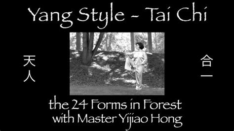 24taichi chuan simple series / what are the different tai chi positions? Tai Chi 24 Forms in Forest, Yang Style, with Master Yijiao ...