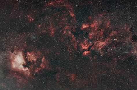 North America Nebula And Sadr Region With Crescent Nebula In Cygnus