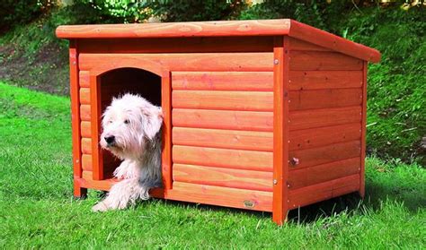 Más de 1275 apartamentos al mejor precio y con fotos. Como Hacer Una Casa De Perro De Madera Facil - Fácil de Hacer