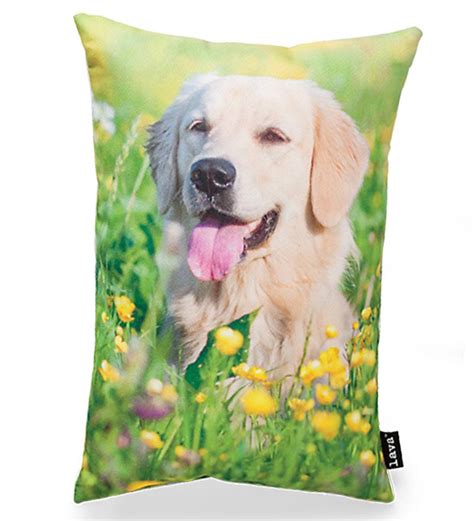 Photo Printed Golden Retriever Puppy Pillow Plowhearth