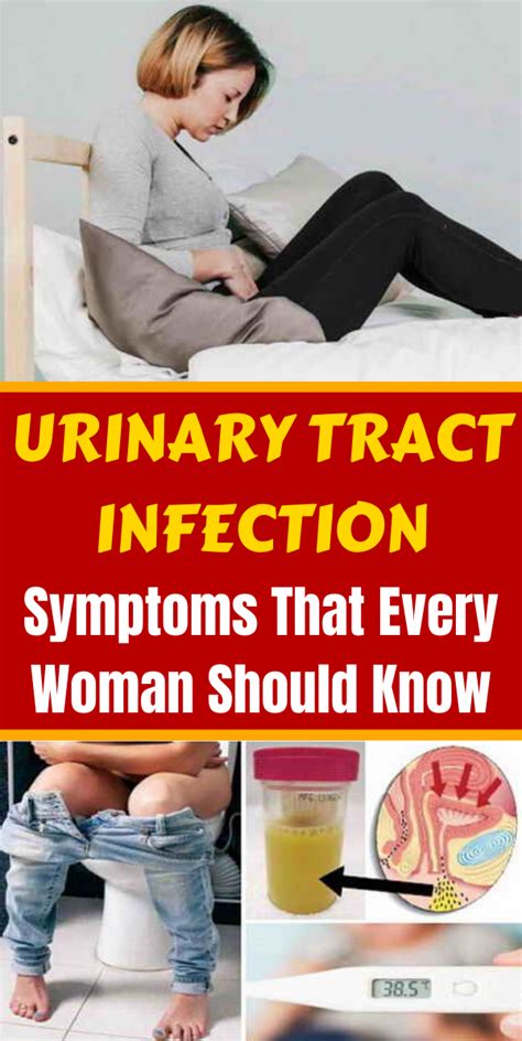 Urinary Tract Infection Symptoms That Every Woman Should Know Holistic And Healthy