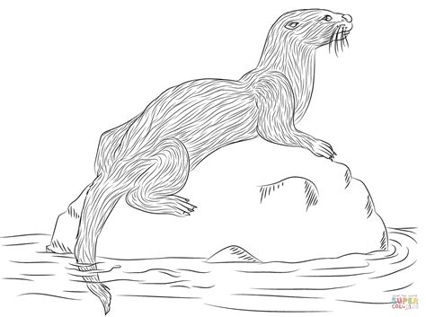 River Otter Coloring Page Free Printable Coloring Pages