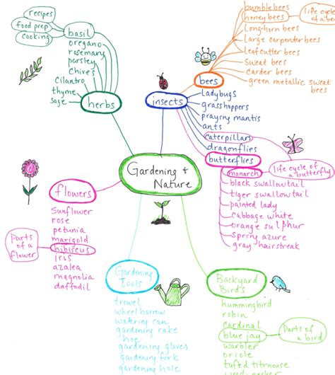 Vocabulary Words For Preschoolers Using Mind Mapping To Brainstorm New