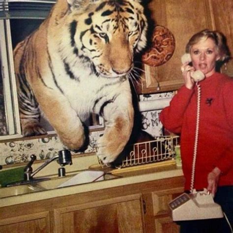 The Tiger Who Came To Tea Talk Writing Prompt Talkprompt