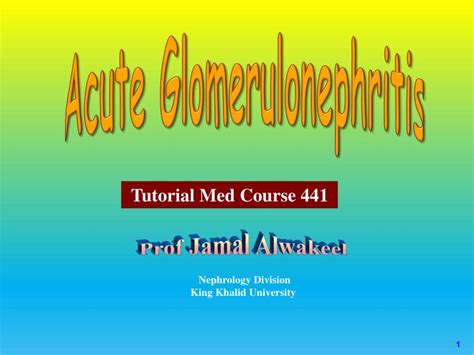 Ppt Acute Glomerulonephritis Powerpoint Presentation Free Download