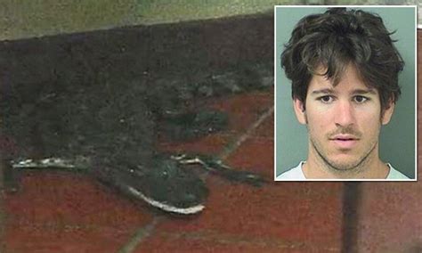 Florida Man Arrested For Throwing A Alligator Through A Wendys Drive