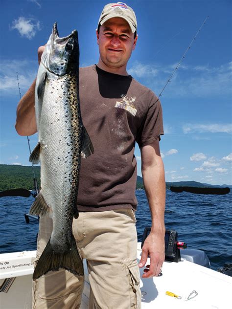 Salmon Fishing Comeback On Lake George Glens Falls Chronicle